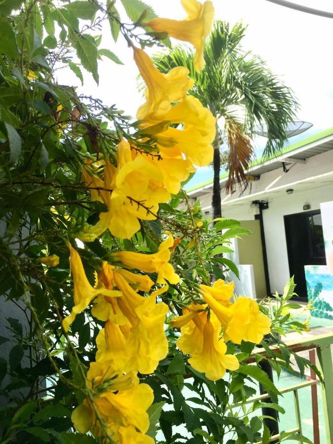 Rawai Whale Resort Ngoại thất bức ảnh